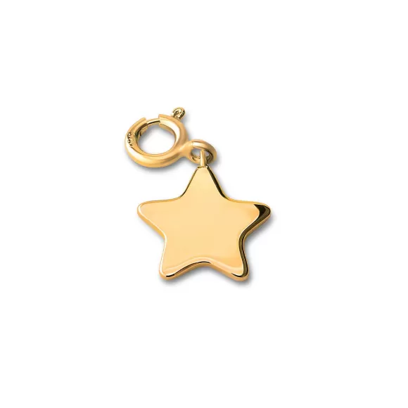 Hot Melano Ornaments Star Hanger Hangers